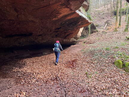 24-02-28 11-37-54 8767